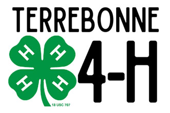 4-H Youth Development