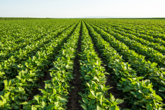 Agriculture & Natural Resources