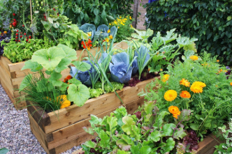 Horticulture