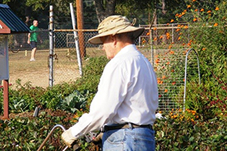 Agriculture and Natural Resources