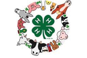 Livestock