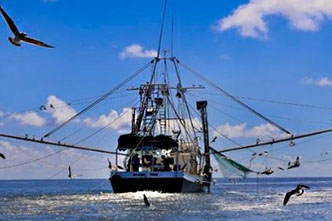 Fisheries