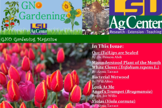GNO Gardening