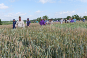 Agriculture & Natural Resources