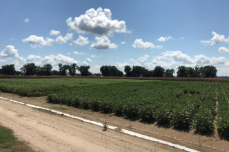 Agriculture & Natural Resources