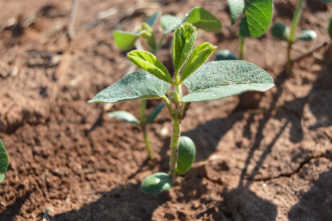 Agriculture & Natural Resources