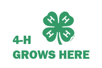 4-H Youth Development
