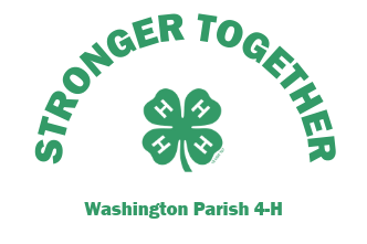 4-H Youth Development