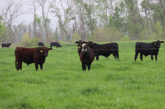 Agriculture & Natural Resources