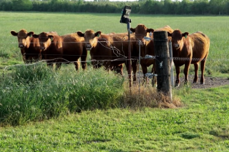 Agriculture & Natural Resources