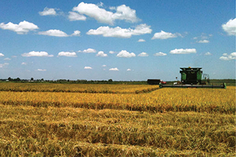 Agriculture & Natural Resources