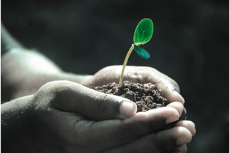 Soil Health, Land & Water Management