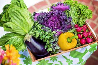 Nutrition, Health and Food Safety