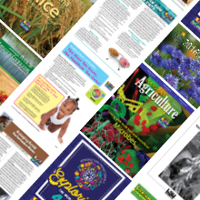 Publications