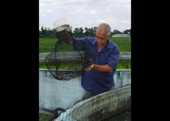 Aquaculture Specialist