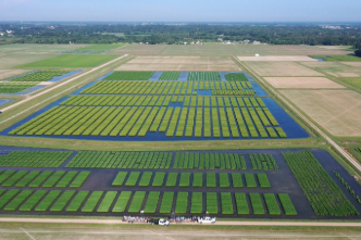 Resilient Cultivars