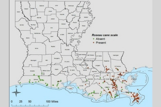 Distribution Map