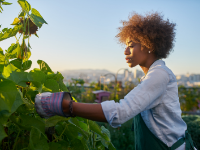 Farm to Institutions