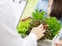Produce Safety