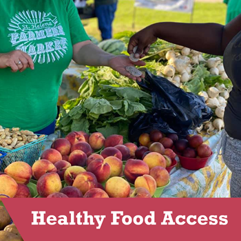 Healthy Food Access