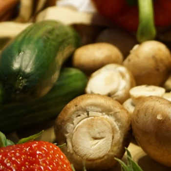 Farm to Fork Food Safety