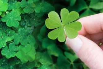 Ways to Give to 4-H