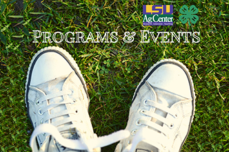 Programs & Events