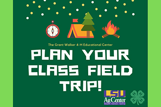 Plan a Field Trip at Camp