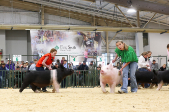 Agriculture and Livestock