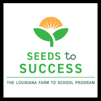 Kindergarten – 12th Grade