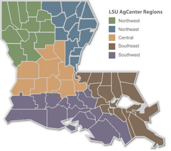 Louisiana Region Map