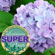 Super Plants