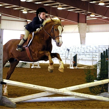 4-H Horse Project