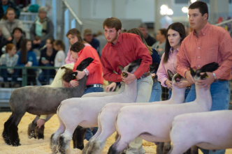 4-H