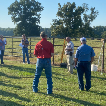 Grazing School
