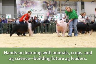 Agriculture and Livestock