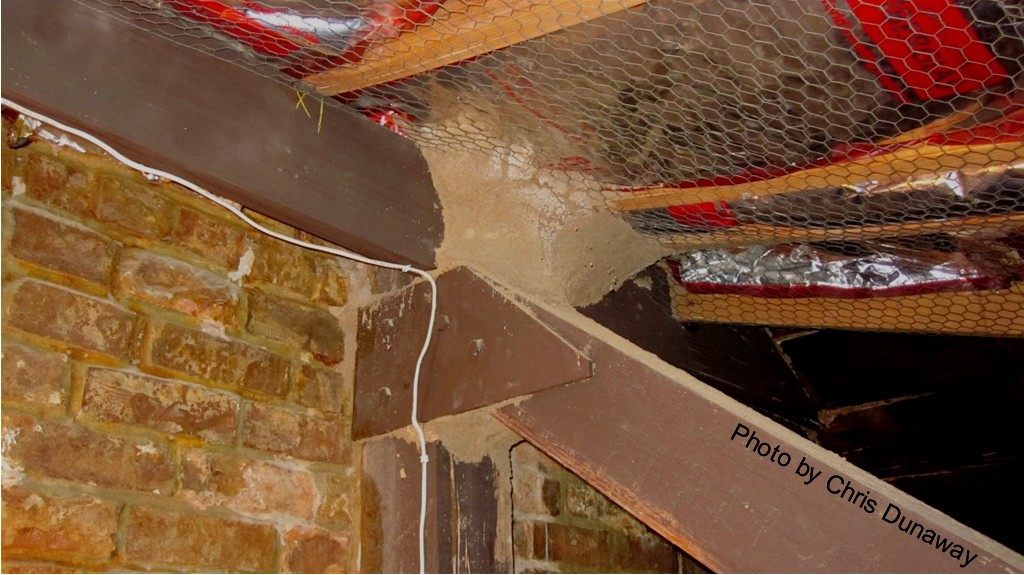 Large nest in attic.
