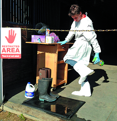 horse biosecurity