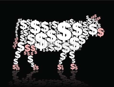 cash cow