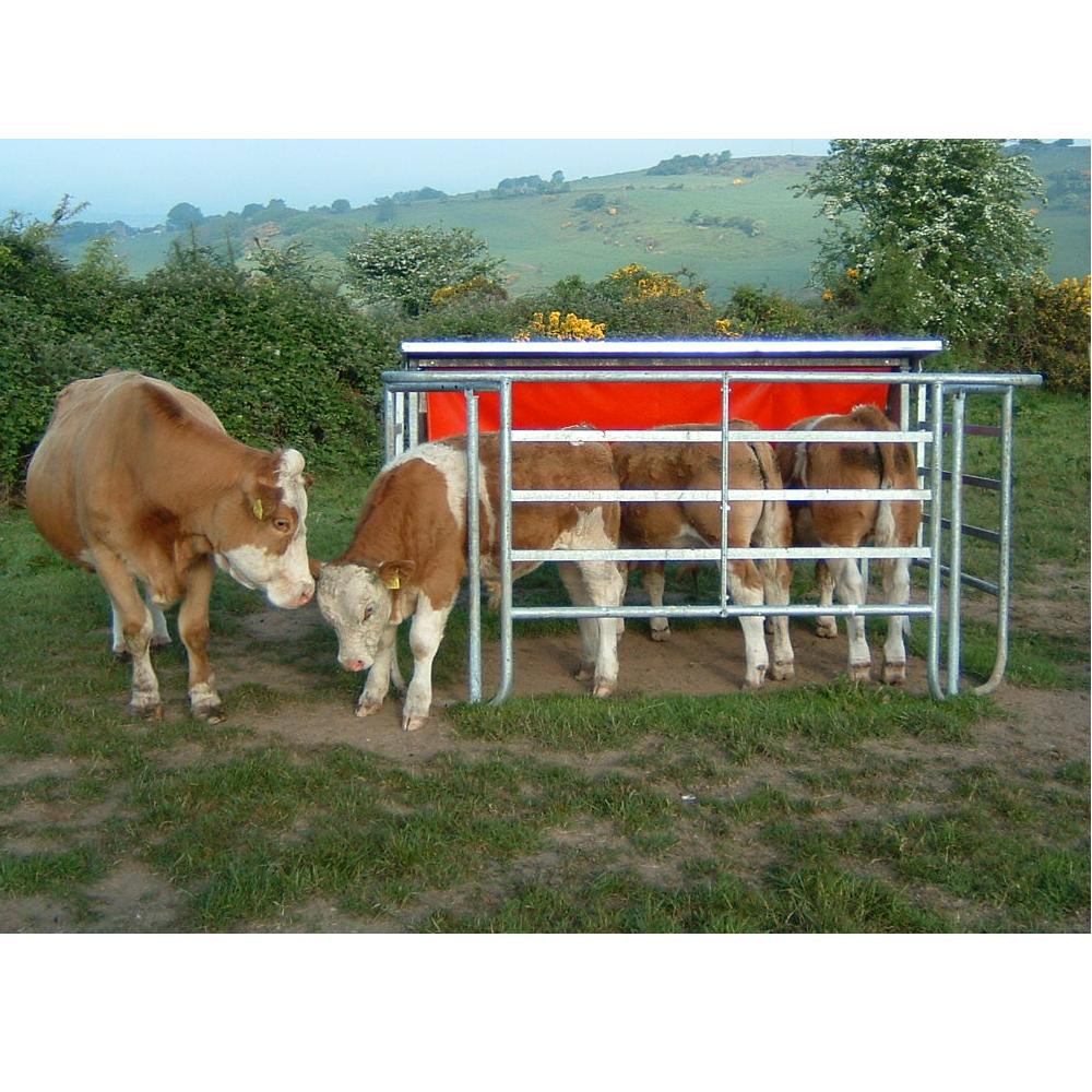 calves creep feeding