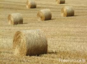 hay bales
