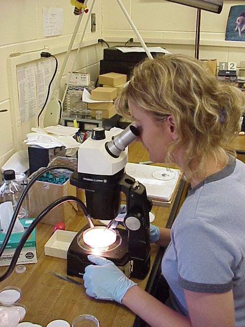 You can view a list of entomology course offerings by clicking the photo.