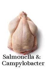 poultry