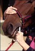 deworming