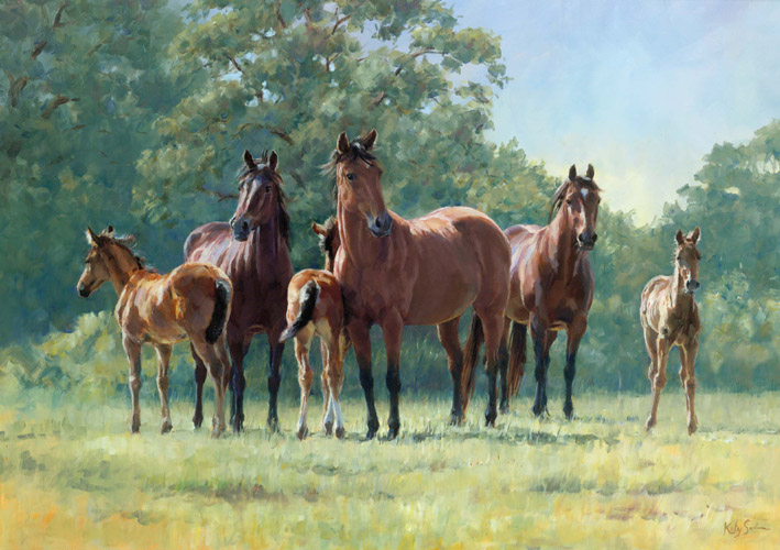 mares and foals