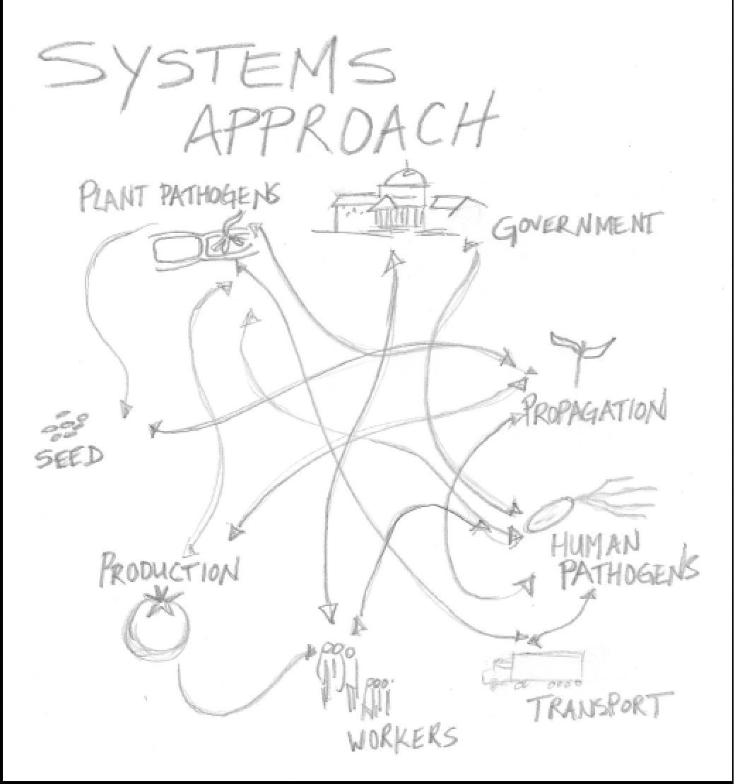 A Systems Approach to Greenhouse Disease Management