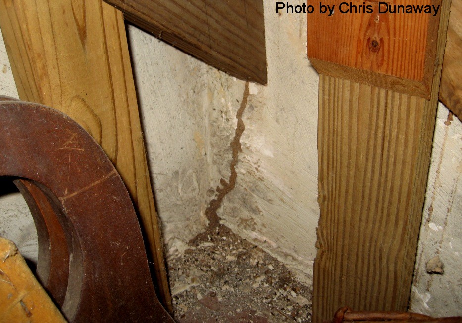Shelter tube visible under stairs.