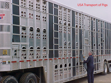 swine trailer