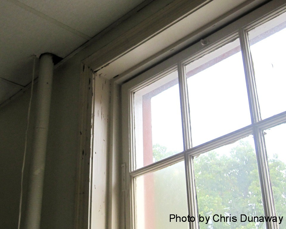 Termite damage to window frame