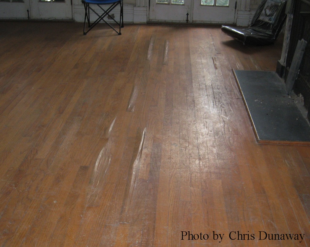 Termite damage to wood floor
